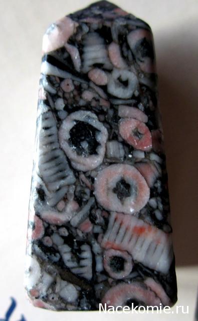 Энергия камней № 90 Криноидный известняк (обелиск) фото, обсуждение