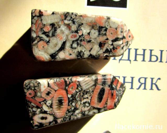 Энергия камней № 90 Криноидный известняк (обелиск) фото, обсуждение