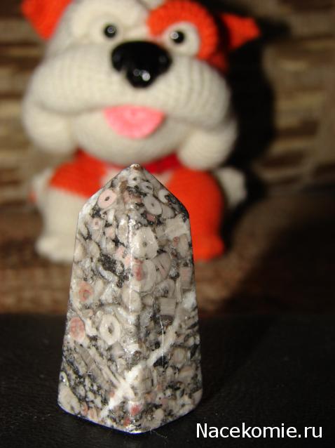 Энергия камней № 90 Криноидный известняк (обелиск) фото, обсуждение