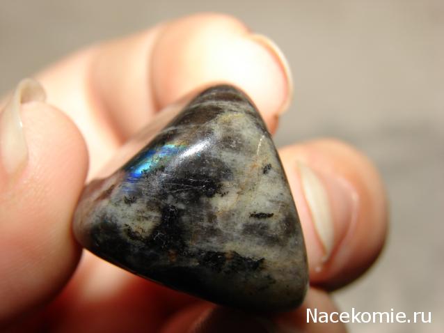 Энергия камней № 89 Анортозит (окатанный камень)  фото, обсуждение