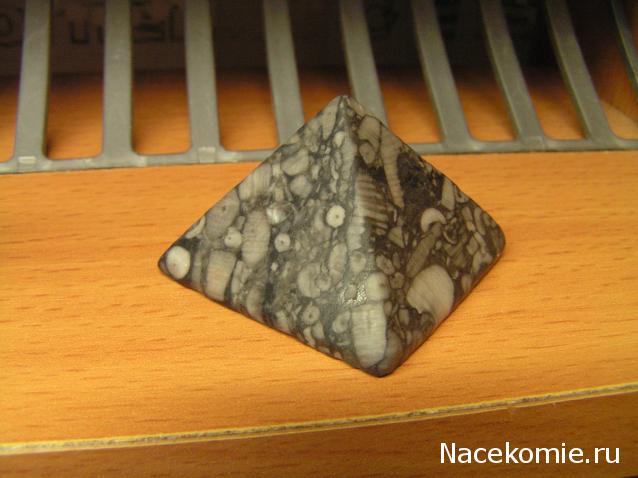 Энергия камней № 90 Криноидный известняк (обелиск) фото, обсуждение