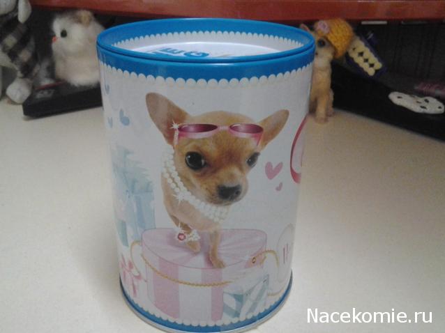 The Dog Collection Болталка