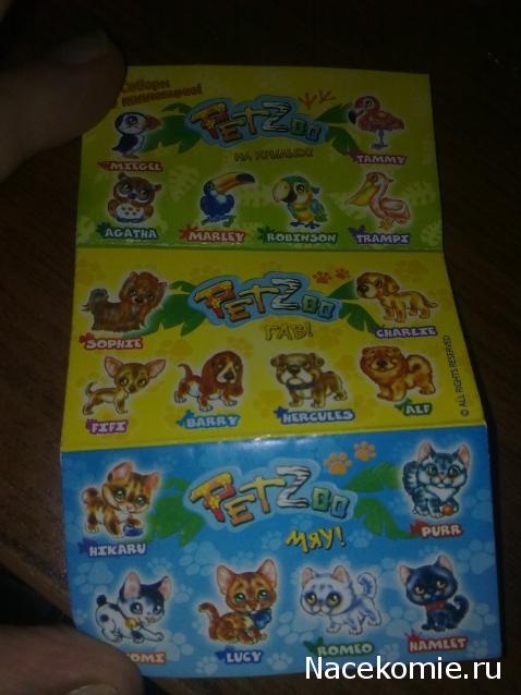 The Dog Collection Болталка