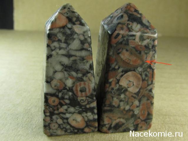 Энергия камней № 90 Криноидный известняк (обелиск) фото, обсуждение