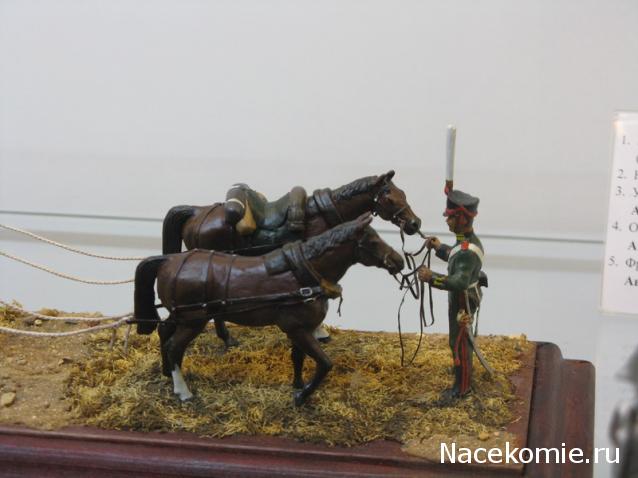 Фотоотчеты с Выставок