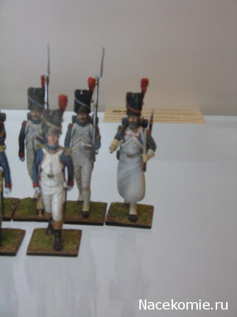 Фотоотчеты с Выставок