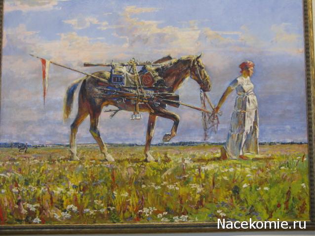 Фотоотчеты с Выставок