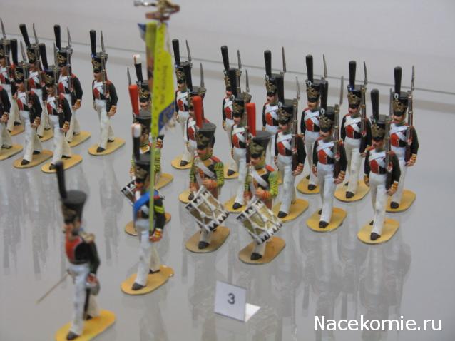 Фотоотчеты с Выставок