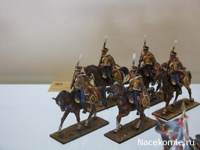 Фотоотчеты с Выставок