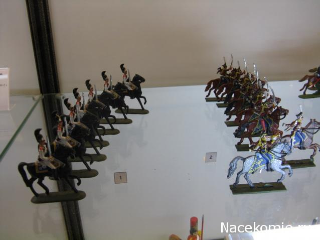 Фотоотчеты с Выставок