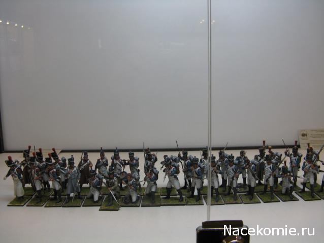 Фотоотчеты с Выставок