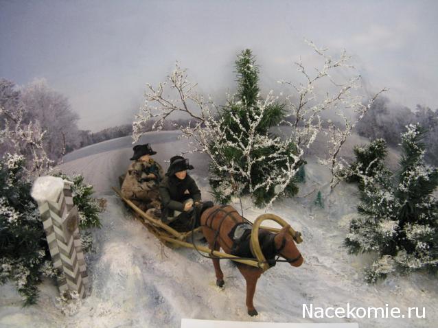 Фотоотчеты с Выставок