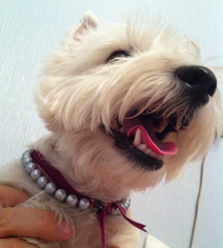 Дом Мечты Болталка: перезагрузка