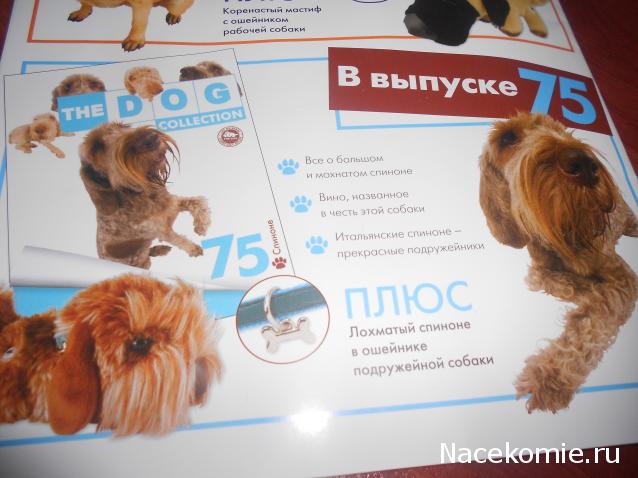 The Dog Collection №73 Шелти