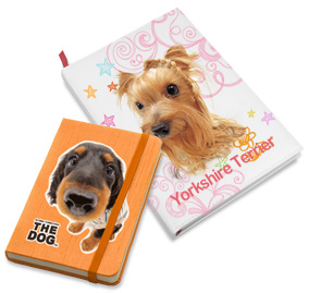 The Dog Collection Болталка