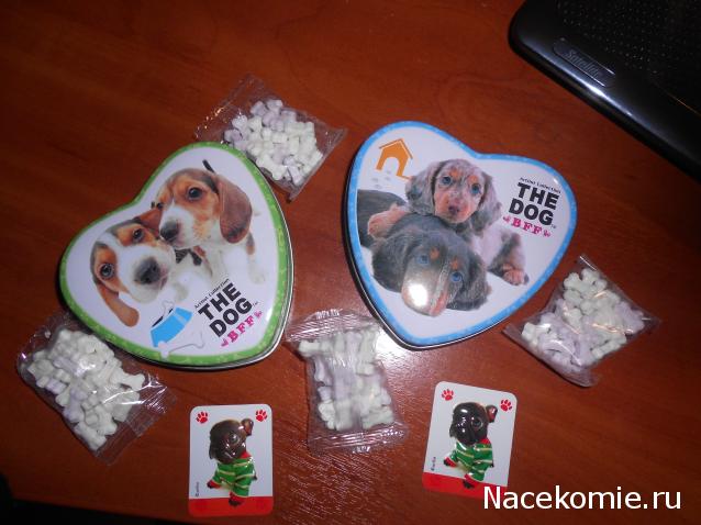 The Dog Collection Болталка