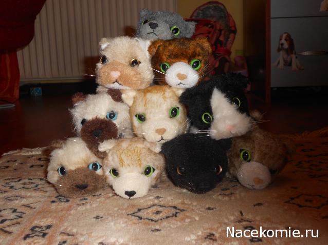 Кошкин дом. Болталка The Cat Collection