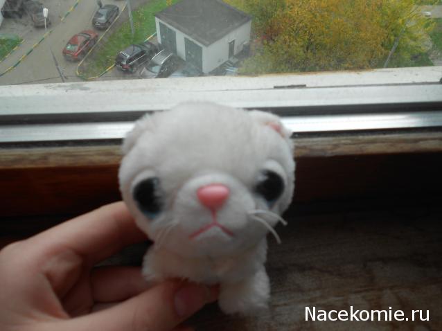 Кошкин дом. Болталка The Cat Collection