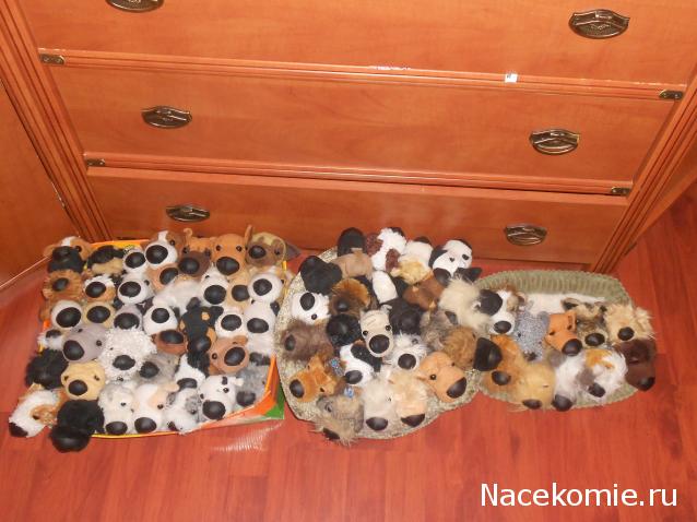 The Dog Collection Болталка