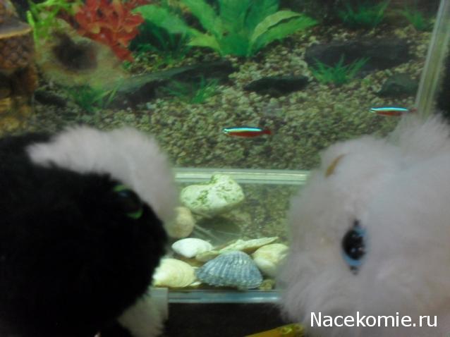 Кошкин дом. Болталка The Cat Collection