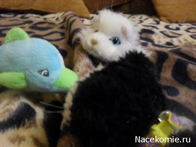 Кошкин дом. Болталка The Cat Collection