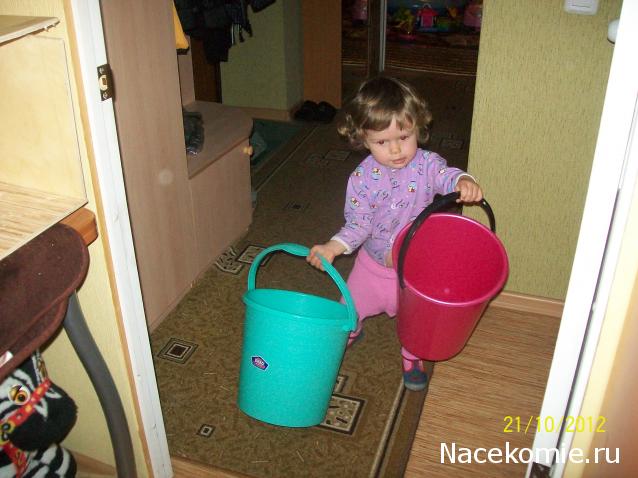 Дом мечты Каркас Дома