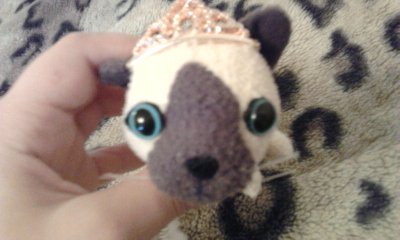 Кошкин дом. Болталка The Cat Collection