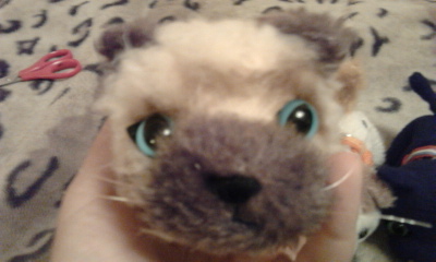 Кошкин дом. Болталка The Cat Collection