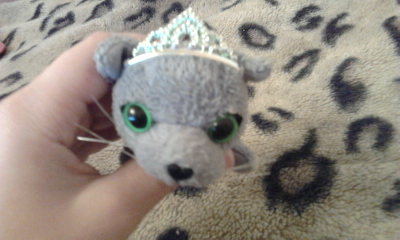 Кошкин дом. Болталка The Cat Collection