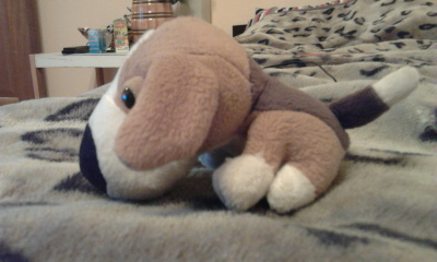 The Dog Collection Болталка