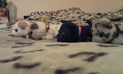 Кошкин дом. Болталка The Cat Collection