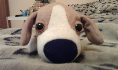 The Dog Collection Болталка