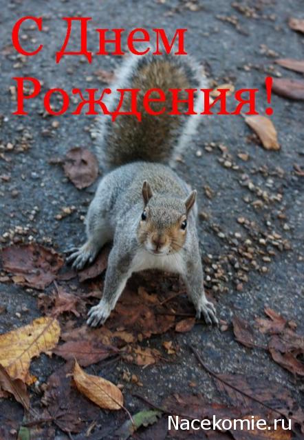 Дом Мечты наши дни рождения