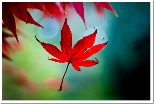 Куклы в народных костюмах №19 Кукла в башкирском праздничном костюме