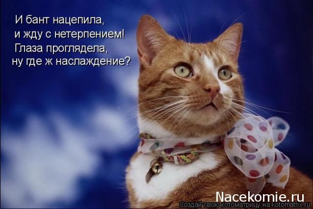 Дом мечты и Тайный Санта