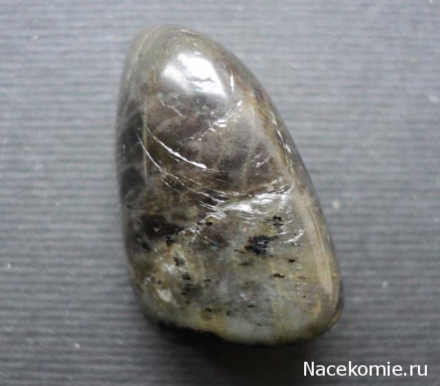Энергия камней № 89 Анортозит (окатанный камень)  фото, обсуждение