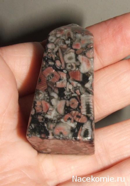 Энергия камней № 90 Криноидный известняк (обелиск) фото, обсуждение