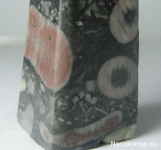 Энергия камней № 90 Криноидный известняк (обелиск) фото, обсуждение