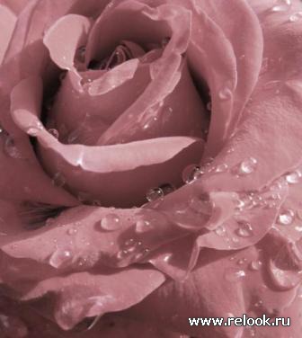 Дамы Эпохи 2011 - График выхода и обсуждение