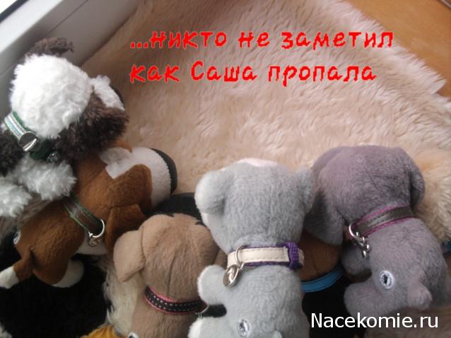 The Dog Collection Болталка