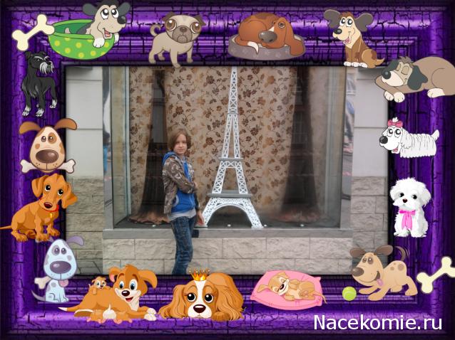 The Dog Collection Болталка