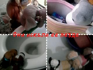 The Dog Collection Болталка