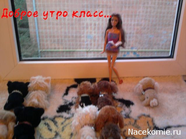 The Dog Collection Болталка