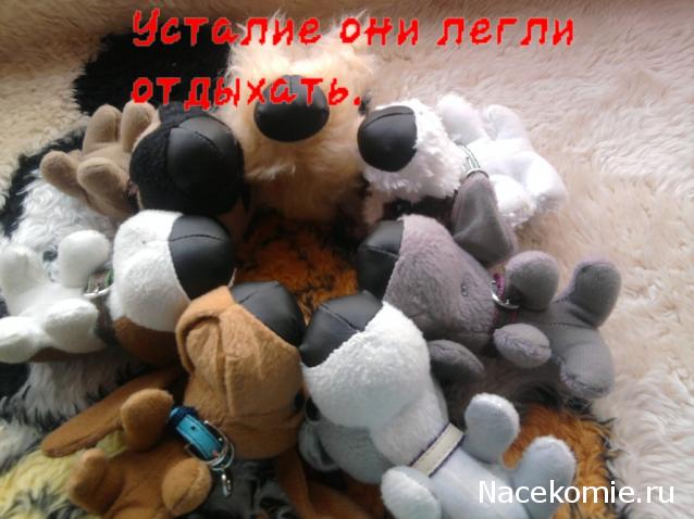 The Dog Collection Болталка