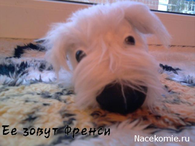 The Dog Collection Болталка