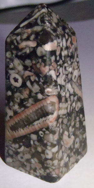 Энергия камней № 90 Криноидный известняк (обелиск) фото, обсуждение