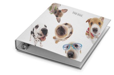 The Dog Collection Болталка