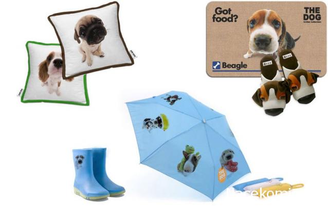 The Dog Collection Болталка