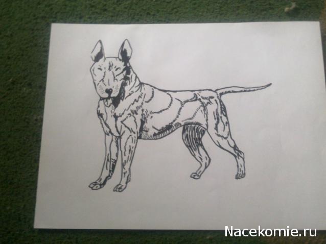 The Dog Collection Болталка