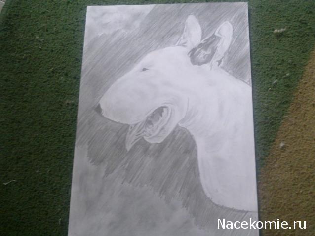 The Dog Collection Болталка